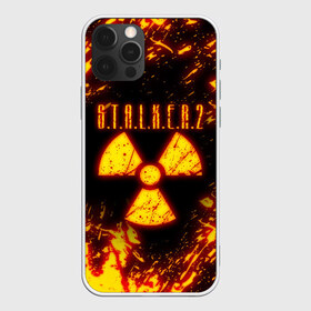 Чехол для iPhone 12 Pro Max с принтом S T A L K E R 2 в Петрозаводске, Силикон |  | bandit | chernobyl | pripyat | s.t.a.l.k.e.r. 2 | shadow of chernobyl | stalker | stalker 2 | бандиты | меченый | припять | сталкер | сталкер 2 | тени чернобыля | чернобыль | чистое небо