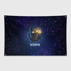 Флаг-баннер с принтом Скорпион в Петрозаводске, 100% полиэстер | размер 67 х 109 см, плотность ткани — 95 г/м2; по краям флага есть четыре люверса для крепления | вселенная | гороскоп | знаки зодиака | зодиак | космос | медитация | планеты
