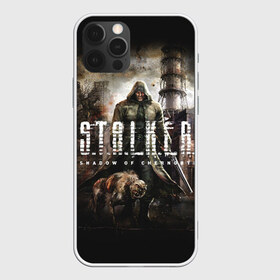 Чехол для iPhone 12 Pro Max с принтом S T A L K E R в Петрозаводске, Силикон |  | 2 | call of chernobyl | s.t.a.l.k.e.r. | shadow of chernobyl | stalker | зов припяти | зона | летс плей | моды | сталкер | стрим | тень чернобыля | чистое небо