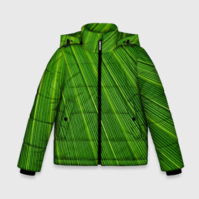 Зимняя куртка для мальчиков 3D с принтом Зелёный лист в Петрозаводске, ткань верха — 100% полиэстер; подклад — 100% полиэстер, утеплитель — 100% полиэстер | длина ниже бедра, удлиненная спинка, воротник стойка и отстегивающийся капюшон. Есть боковые карманы с листочкой на кнопках, утяжки по низу изделия и внутренний карман на молнии. 

Предусмотрены светоотражающий принт на спинке, радужный светоотражающий элемент на пуллере молнии и на резинке для утяжки | abstract | абстрактно | абстрактный | абстракция | зеленый | зелень | лист | листок | листья | полоса | полоска | полосы | природа | флора