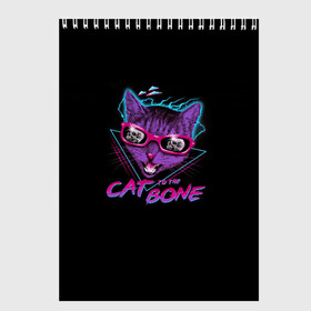 Скетчбук с принтом Cat To The Bone в Петрозаводске, 100% бумага
 | 48 листов, плотность листов — 100 г/м2, плотность картонной обложки — 250 г/м2. Листы скреплены сверху удобной пружинной спиралью | Тематика изображения на принте: 80 | bone | bones | cat | cyber | game | hotline | hotlinemiami | maiami | music | outrun | retro | retrowave | skull | synth | synthwave | игра | кибер | кот | кошка | ретро | череп