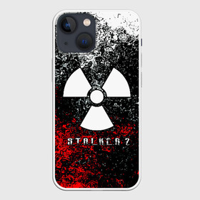 Чехол для iPhone 13 mini с принтом S.T.AL.K.E.R  2 в Петрозаводске,  |  | game | stalker | stalker 2 | глуховский | радиация | сталкер | сталкеры | чернобыль | ядерный взрыв