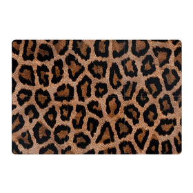 Магнитный плакат 3Х2 с принтом Леопардовая расцветка в Петрозаводске, Полимерный материал с магнитным слоем | 6 деталей размером 9*9 см | леопард | леопардовая | леопардовые | леопардовый | леопарды | пятнистые | пятнистый | пятнистым | расцветка