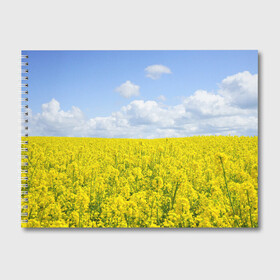 Альбом для рисования с принтом Рапсовое поле в Петрозаводске, 100% бумага
 | матовая бумага, плотность 200 мг. | Тематика изображения на принте: небо | облака | облако | поле | поля | посев | посевы | природа | природный | рапс | рапсовое | рапсовый | рапсом | туча | тучи | урожаи | урожай | цветами | цветок | цветы