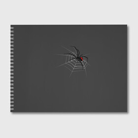 Альбом для рисования с принтом Паук в Петрозаводске, 100% бумага
 | матовая бумага, плотность 200 мг. | animal | animals | poison | spider | venom | вдова | животные | каракурт | паук | паутина | паучок | черная | черная вдова | яд