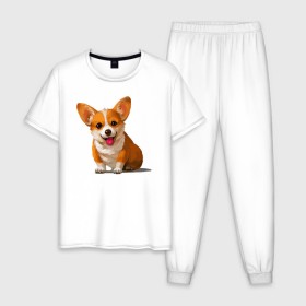 Мужская пижама хлопок с принтом Корги в Петрозаводске, 100% хлопок | брюки и футболка прямого кроя, без карманов, на брюках мягкая резинка на поясе и по низу штанин
 | вельш корги | домашние животные | корги | пес | собака | собачнику | щенок