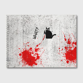 Альбом для рисования с принтом What cat в Петрозаводске, 100% бумага
 | матовая бумага, плотность 200 мг. | Тематика изображения на принте: cat | kitten | knife | what | кот | котёнок | кошка | кровь | нож | что