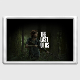 Магнит 45*70 с принтом THE LAST OF US в Петрозаводске, Пластик | Размер: 78*52 мм; Размер печати: 70*45 | Тематика изображения на принте: cicadas | fireflies | naughty dog | the last of us | the last of us part 2 | джоэл | последние из нас | цикады | элли