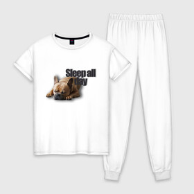 Женская пижама хлопок с принтом Спать весь день в Петрозаводске, 100% хлопок | брюки и футболка прямого кроя, без карманов, на брюках мягкая резинка на поясе и по низу штанин | пес | собака | сон | спать весь день | французский бульдог