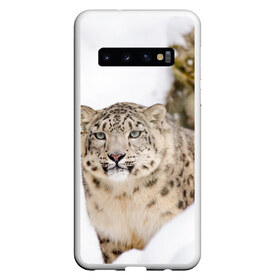 Чехол для Samsung Galaxy S10 с принтом Ирбис в Петрозаводске, Силикон | Область печати: задняя сторона чехла, без боковых панелей | snow leopard | барс | барсы | животное | животные | звери | зверь | зима | зимы | ирбис | киски | кот | коты | кошачьи | кошка | кошки | мохнатые | мохнатый | пятнистые | пятнистый | снег | снежный