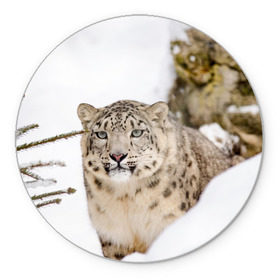 Коврик для мышки круглый с принтом Ирбис в Петрозаводске, резина и полиэстер | круглая форма, изображение наносится на всю лицевую часть | snow leopard | барс | барсы | животное | животные | звери | зверь | зима | зимы | ирбис | киски | кот | коты | кошачьи | кошка | кошки | мохнатые | мохнатый | пятнистые | пятнистый | снег | снежный