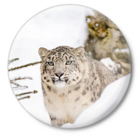 Значок с принтом Ирбис в Петрозаводске,  металл | круглая форма, металлическая застежка в виде булавки | Тематика изображения на принте: snow leopard | барс | барсы | животное | животные | звери | зверь | зима | зимы | ирбис | киски | кот | коты | кошачьи | кошка | кошки | мохнатые | мохнатый | пятнистые | пятнистый | снег | снежный