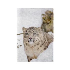 Обложка для паспорта матовая кожа с принтом Ирбис в Петрозаводске, натуральная матовая кожа | размер 19,3 х 13,7 см; прозрачные пластиковые крепления | Тематика изображения на принте: snow leopard | барс | барсы | животное | животные | звери | зверь | зима | зимы | ирбис | киски | кот | коты | кошачьи | кошка | кошки | мохнатые | мохнатый | пятнистые | пятнистый | снег | снежный