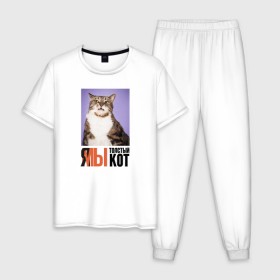 Мужская пижама хлопок с принтом Я-МЫ толстый кот в Петрозаводске, 100% хлопок | брюки и футболка прямого кроя, без карманов, на брюках мягкая резинка на поясе и по низу штанин
 | викторлетай | кот | котики | мемы | приколы