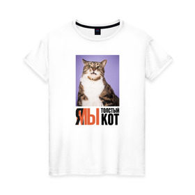 Женская футболка хлопок с принтом Я-МЫ толстый кот в Петрозаводске, 100% хлопок | прямой крой, круглый вырез горловины, длина до линии бедер, слегка спущенное плечо | викторлетай | кот | котики | мемы | приколы