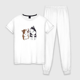 Женская пижама хлопок с принтом Две Хаски в Петрозаводске, 100% хлопок | брюки и футболка прямого кроя, без карманов, на брюках мягкая резинка на поясе и по низу штанин | две хаски | друзья | питомцы | рисунок | собаки | хаски