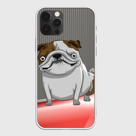 Чехол для iPhone 12 Pro Max с принтом Бульдог в Петрозаводске, Силикон |  | Тематика изображения на принте: dog | большая собака | бульдог | животное | злая собака | пес | собака | собачка