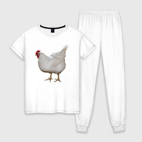 Женская пижама хлопок с принтом Белая курица в Петрозаводске, 100% хлопок | брюки и футболка прямого кроя, без карманов, на брюках мягкая резинка на поясе и по низу штанин | курица | петух | питух | птица | юмор