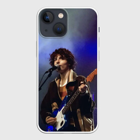 Чехол для iPhone 13 mini с принтом finn wolfhard в Петрозаводске,  |  | finn wolfhard | очень странные дела | финн вулфард