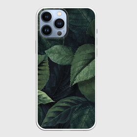 Чехол для iPhone 13 Pro Max с принтом Лесная маскировка в Петрозаводске,  |  | branch | foliage | leafy | nature | ветка | веточка | зеленый | лист | листочки | листья | природа | черный