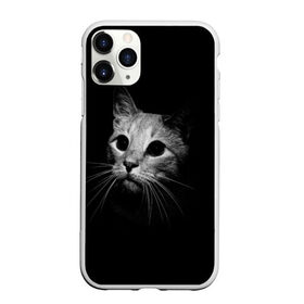 Чехол для iPhone 11 Pro Max матовый с принтом Кошачья морда в Петрозаводске, Силикон |  | кот | кошка | темнота