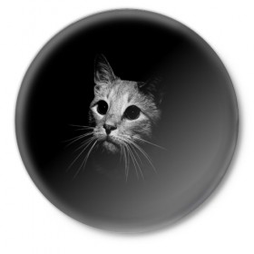 Значок с принтом Кошачья морда в Петрозаводске,  металл | круглая форма, металлическая застежка в виде булавки | Тематика изображения на принте: кот | кошка | темнота