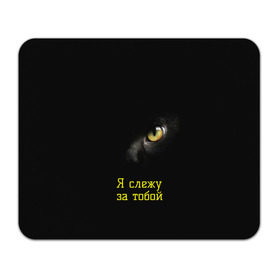 Коврик для мышки прямоугольный с принтом Следящий кошачий глаз в Петрозаводске, натуральный каучук | размер 230 х 185 мм; запечатка лицевой стороны | кот в темноте | кошачий глаз