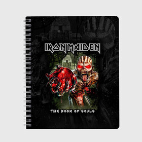 Тетрадь с принтом Iron Maiden в Петрозаводске, 100% бумага | 48 листов, плотность листов — 60 г/м2, плотность картонной обложки — 250 г/м2. Листы скреплены сбоку удобной пружинной спиралью. Уголки страниц и обложки скругленные. Цвет линий — светло-серый
 | heavy metal | iron maiden | metal | айрон мейден | группы | метал | музыка | рок | хеви метал
