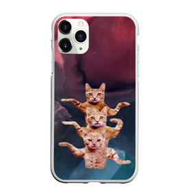 Чехол для iPhone 11 Pro Max матовый с принтом Танцующие коты в Петрозаводске, Силикон |  | cats | забавный | котики | коты | мем | прикол | смешная | танцующие коты