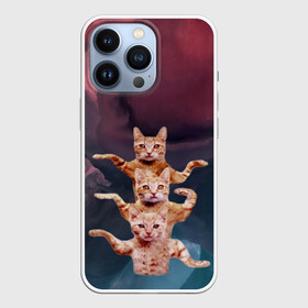 Чехол для iPhone 13 Pro с принтом Танцующие коты в Петрозаводске,  |  | Тематика изображения на принте: cats | забавный | котики | коты | мем | прикол | смешная | танцующие коты