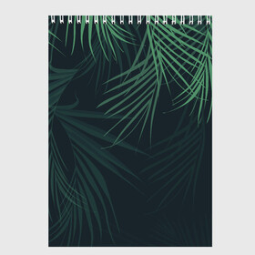 Скетчбук с принтом Пальмовый узор в Петрозаводске, 100% бумага
 | 48 листов, плотность листов — 100 г/м2, плотность картонной обложки — 250 г/м2. Листы скреплены сверху удобной пружинной спиралью | Тематика изображения на принте: джунгли | зелёный | лепестки | лепесток | лес | листья | пальма | пальмы | папоротник | салатовый | тропики | черный