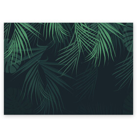 Поздравительная открытка с принтом Пальмовый узор в Петрозаводске, 100% бумага | плотность бумаги 280 г/м2, матовая, на обратной стороне линовка и место для марки
 | Тематика изображения на принте: джунгли | зелёный | лепестки | лепесток | лес | листья | пальма | пальмы | папоротник | салатовый | тропики | черный