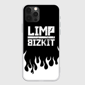 Чехол для iPhone 12 Pro Max с принтом Limp Bizkit в Петрозаводске, Силикон |  | Тематика изображения на принте: bizkit | limp | limp bizkit | music | rock | бизкиты | лимп бизкит | лимпы | липкие письки | музыка | рок