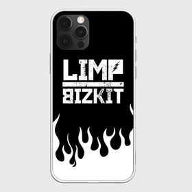 Чехол для iPhone 12 Pro Max с принтом Limp Bizkit в Петрозаводске, Силикон |  | bizkit | limp | limp bizkit | music | rock | бизкиты | лимп бизкит | лимпы | липкие письки | музыка | рок