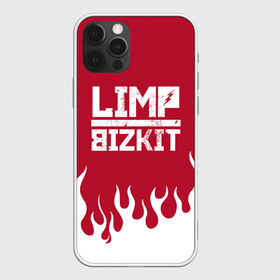 Чехол для iPhone 12 Pro Max с принтом Limp Bizkit в Петрозаводске, Силикон |  | Тематика изображения на принте: bizkit | limp | limp bizkit | music | rock | бизкиты | лимп бизкит | лимпы | липкие письки | музыка | рок