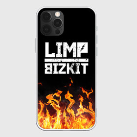 Чехол для iPhone 12 Pro Max с принтом Limp Bizkit в Петрозаводске, Силикон |  | Тематика изображения на принте: bizkit | limp | limp bizkit | music | rock | бизкиты | лимп бизкит | лимпы | липкие письки | музыка | рок