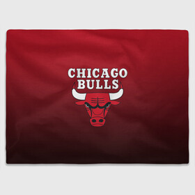 Плед 3D с принтом CHICAGO BULLS в Петрозаводске, 100% полиэстер | закругленные углы, все края обработаны. Ткань не мнется и не растягивается | bulls | chicago | chicago bulls | nba | red bulls | usa | америка | быки | нба | сша | чикаго буллс