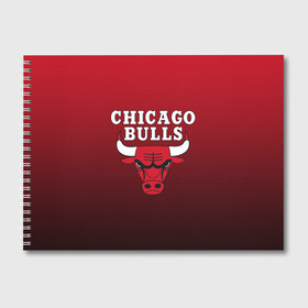 Альбом для рисования с принтом CHICAGO BULLS в Петрозаводске, 100% бумага
 | матовая бумага, плотность 200 мг. | bulls | chicago | chicago bulls | nba | red bulls | usa | америка | быки | нба | сша | чикаго буллс