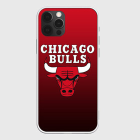 Чехол для iPhone 12 Pro с принтом CHICAGO BULLS в Петрозаводске, силикон | область печати: задняя сторона чехла, без боковых панелей | Тематика изображения на принте: bulls | chicago | chicago bulls | nba | red bulls | usa | америка | быки | нба | сша | чикаго буллс