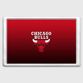 Магнит 45*70 с принтом CHICAGO BULLS в Петрозаводске, Пластик | Размер: 78*52 мм; Размер печати: 70*45 | bulls | chicago | chicago bulls | nba | red bulls | usa | америка | быки | нба | сша | чикаго буллс