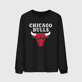 Мужской свитшот хлопок с принтом CHICAGO BULLS в Петрозаводске, 100% хлопок |  | bulls | chicago | chicago bulls | nba | red bulls | usa | америка | быки | нба | сша | чикаго буллс