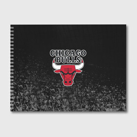 Альбом для рисования с принтом CHICAGO BULLS в Петрозаводске, 100% бумага
 | матовая бумага, плотность 200 мг. | bulls | chicago | chicago bulls | nba | red bulls | usa | америка | быки | нба | сша | чикаго буллс