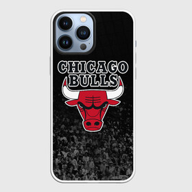 Чехол для iPhone 13 Pro Max с принтом CHICAGO BULLS в Петрозаводске,  |  | bulls | chicago | chicago bulls | nba | red bulls | usa | америка | быки | нба | сша | чикаго буллс