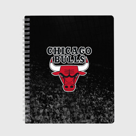 Тетрадь с принтом CHICAGO BULLS в Петрозаводске, 100% бумага | 48 листов, плотность листов — 60 г/м2, плотность картонной обложки — 250 г/м2. Листы скреплены сбоку удобной пружинной спиралью. Уголки страниц и обложки скругленные. Цвет линий — светло-серый
 | Тематика изображения на принте: bulls | chicago | chicago bulls | nba | red bulls | usa | америка | быки | нба | сша | чикаго буллс