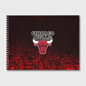 Альбом для рисования с принтом CHICAGO BULLS в Петрозаводске, 100% бумага
 | матовая бумага, плотность 200 мг. | bulls | chicago | chicago bulls | nba | red bulls | usa | америка | быки | нба | сша | чикаго буллс