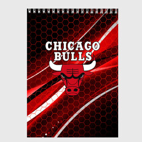 Скетчбук с принтом CHICAGO BULLS в Петрозаводске, 100% бумага
 | 48 листов, плотность листов — 100 г/м2, плотность картонной обложки — 250 г/м2. Листы скреплены сверху удобной пружинной спиралью | bulls | chicago | chicago bulls | nba | red bulls | usa | америка | быки | нба | сша | чикаго буллс