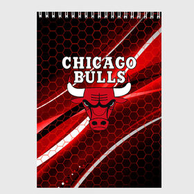 Скетчбук с принтом CHICAGO BULLS в Петрозаводске, 100% бумага
 | 48 листов, плотность листов — 100 г/м2, плотность картонной обложки — 250 г/м2. Листы скреплены сверху удобной пружинной спиралью | Тематика изображения на принте: bulls | chicago | chicago bulls | nba | red bulls | usa | америка | быки | нба | сша | чикаго буллс