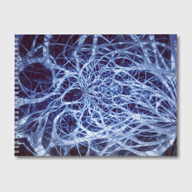Альбом для рисования с принтом Nerves в Петрозаводске, 100% бумага
 | матовая бумага, плотность 200 мг. | nerves | абстрактно | абстрактные | абстрактный | абстракция | нейронная | неон | неонка | неоновые | нерв | нервная | нервы | объёмные | объёмный | светящиеся | светящийся | сетка | сеть | система