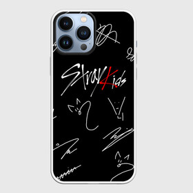 Чехол для iPhone 13 Pro Max с принтом STRAY KIDS в Петрозаводске,  |  | skz | stray kids | бан чан | ли ноу | скз | стрей кидс | сынмин | уджин | феликс | хан | хёджин | чанбин