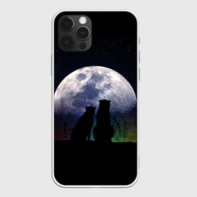 Чехол для iPhone 12 Pro Max с принтом Льбовь под луной в Петрозаводске, Силикон |  | Тематика изображения на принте: волшебство ночи | котики | любовь | пара | романтика